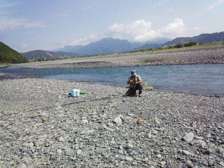 安倍川・藁科川(安倍藁科川漁業協同組合) 釣果
