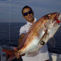 ハピネスⅡ 釣果