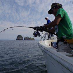 ハピネスⅡ 釣果