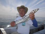 おおせき丸 釣果