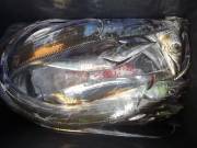 おおせき丸 釣果