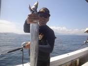 おおせき丸 釣果