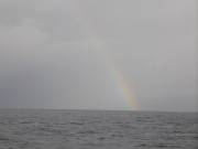 おおせき丸 釣果