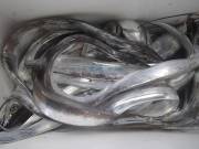 おおせき丸 釣果