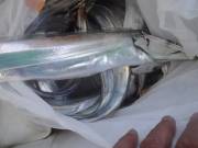 おおせき丸 釣果