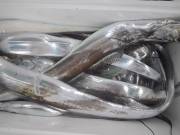 おおせき丸 釣果