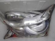 おおせき丸 釣果