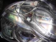 おおせき丸 釣果