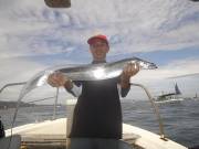 おおせき丸 釣果