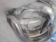 おおせき丸 釣果