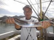 おおせき丸 釣果