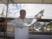 おおせき丸 釣果