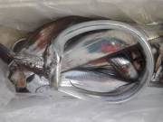 おおせき丸 釣果