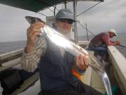 おおせき丸 釣果