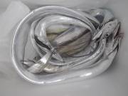 おおせき丸 釣果