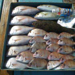 磯部釣船 直栄丸 釣果