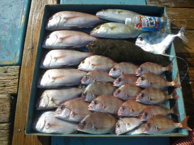 磯部釣船 直栄丸 釣果