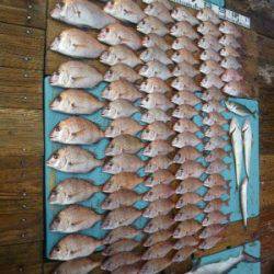 磯部釣船 直栄丸 釣果