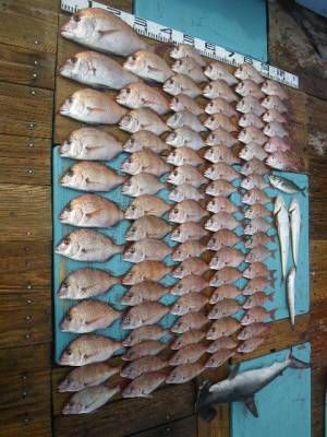 磯部釣船 直栄丸 釣果