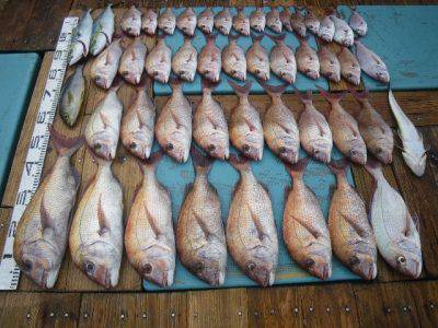 磯部釣船 直栄丸 釣果