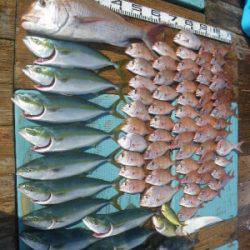 磯部釣船 直栄丸 釣果