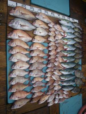 磯部釣船 直栄丸 釣果