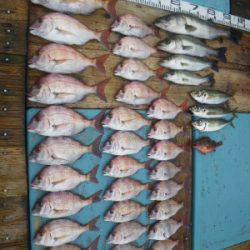 磯部釣船 直栄丸 釣果