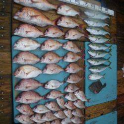 磯部釣船 直栄丸 釣果