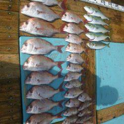 磯部釣船 直栄丸 釣果