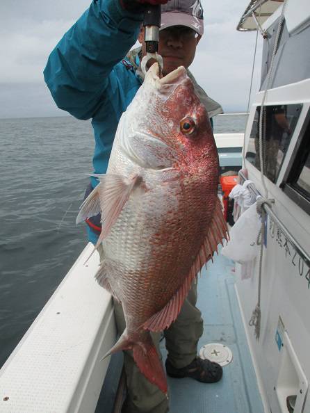 海人丸（うみんちゅまる） 釣果