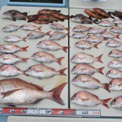 海人丸（うみんちゅまる） 釣果