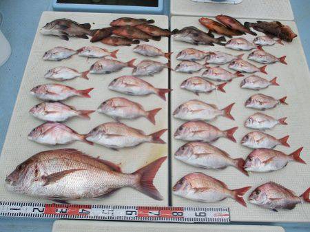 海人丸（うみんちゅまる） 釣果