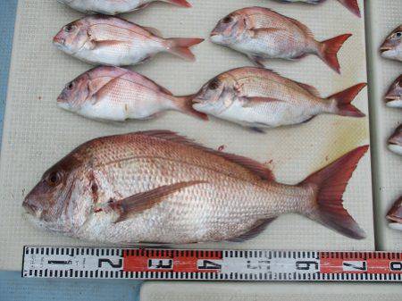 海人丸（うみんちゅまる） 釣果