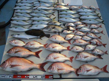 海人丸（うみんちゅまる） 釣果