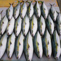 アジアマリンサービス 釣果