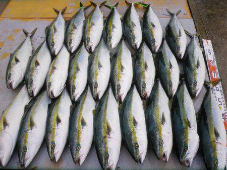 アジアマリンサービス 釣果