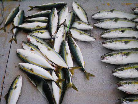 アジアマリンサービス 釣果