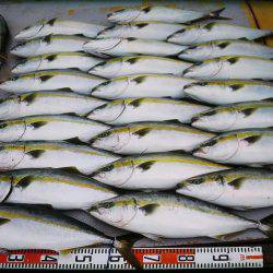 アジアマリンサービス 釣果