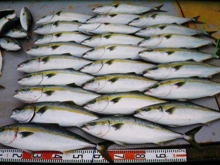 アジアマリンサービス 釣果