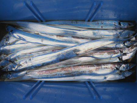 アジアマリンサービス 釣果