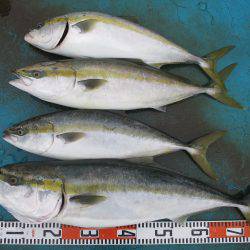 アジアマリンサービス 釣果