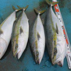 アジアマリンサービス 釣果