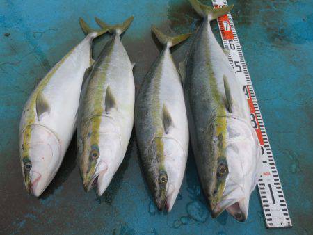 アジアマリンサービス 釣果