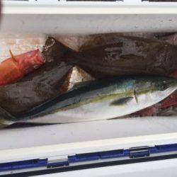 Sea Frend 片山丸 釣果