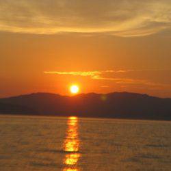 Aquanaut（アクアノート） 釣果