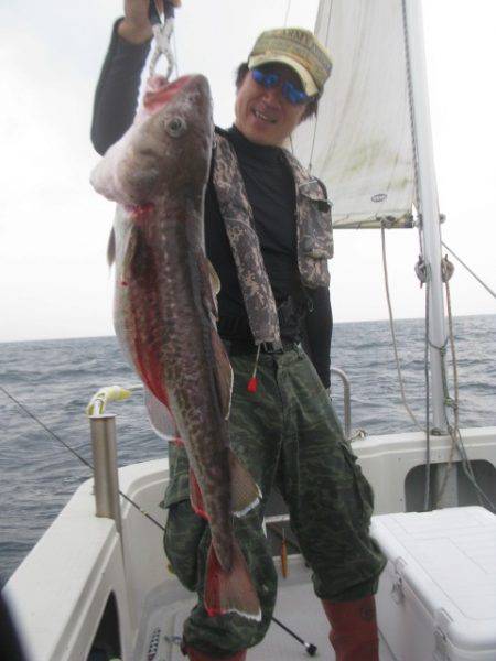 Aquanaut（アクアノート） 釣果