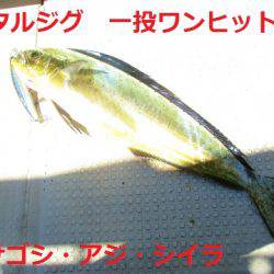 フィッシングガイド とちぎ 釣果