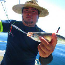 フィッシングガイド とちぎ 釣果