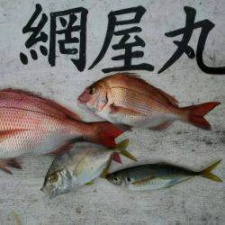 網屋丸 釣果