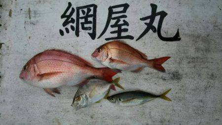 網屋丸 釣果